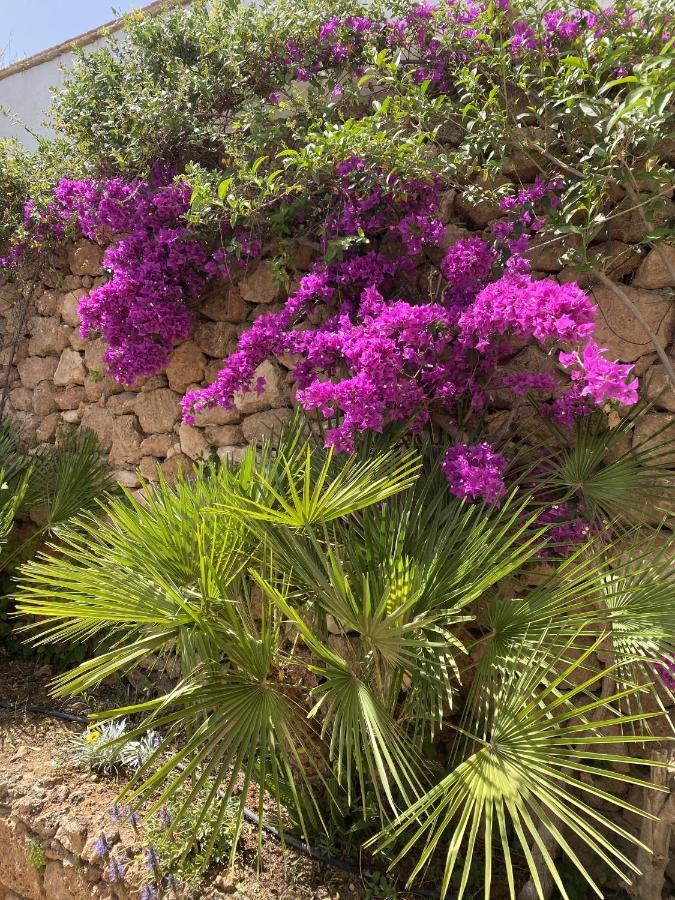 Terraced House In The Mountains With Fantastic View Villa Málaga Eksteriør billede